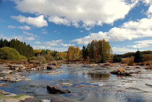 Galloway Forest Park: Hiking, Cycling and Camping at Scotland’s Preferred National Park